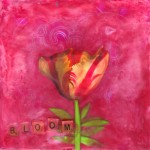 Bloom