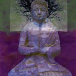 Buddha's Roots