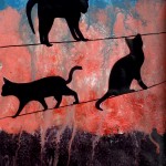 Cats on a Wire