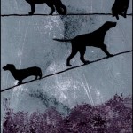 Dogs on a Wire