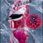Refuge